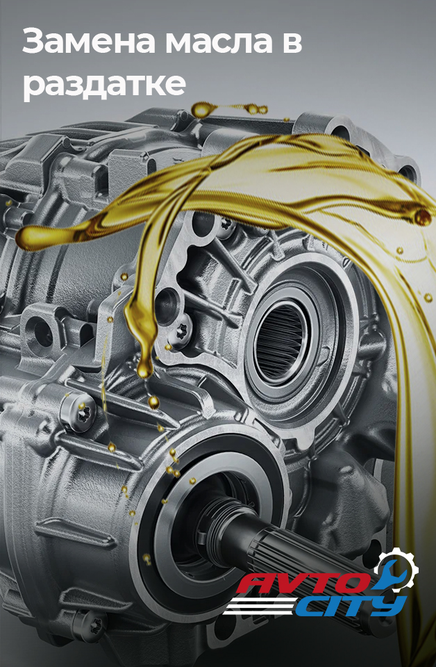 ��������-������ ����� - ����� AVTO CITY, �����������