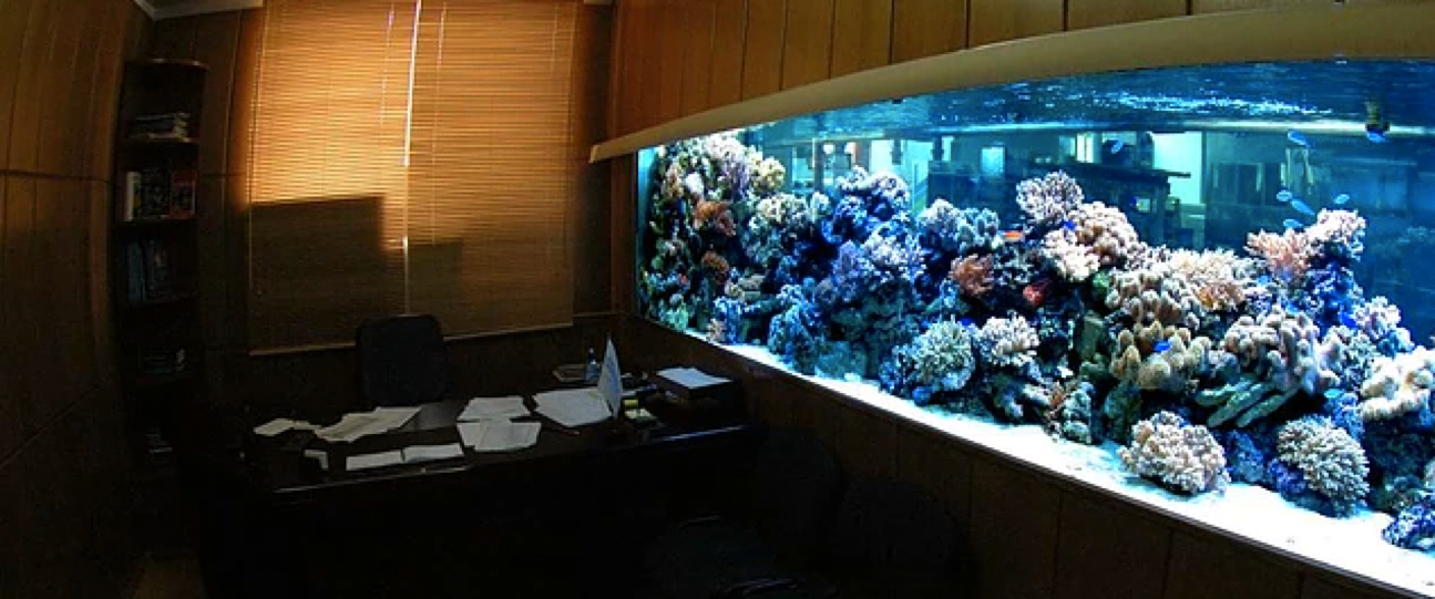 аквариумы на заказ краснодар