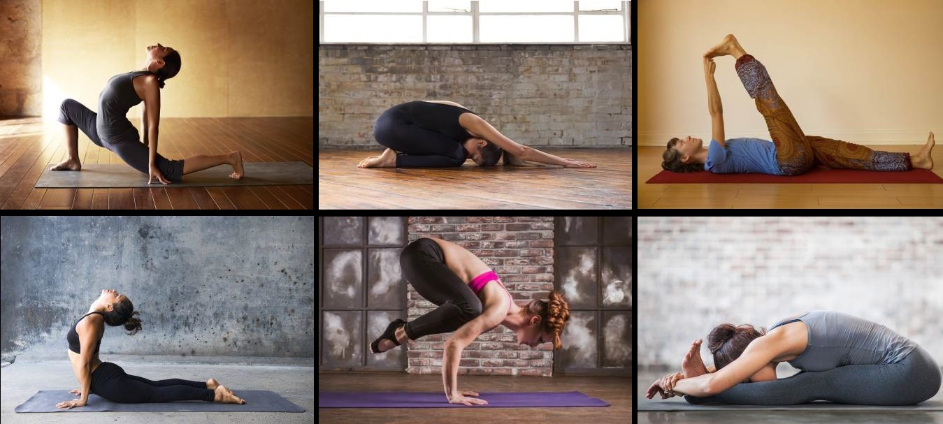 12 видов йоги. Какую выбрать?
