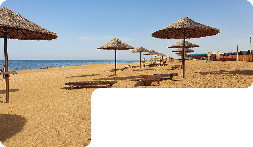 haus_landing_desktop_about_medium_decor_img_1.png
