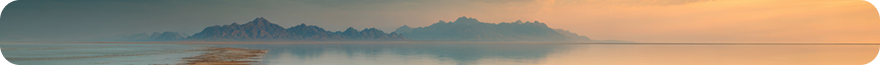 haus_landing_desktop_about_small_decor_img.png