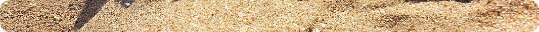 haus_landing_desktop_comeback_small_decor_img.png