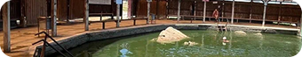 haus_landing_desktop_footer_places_img_5.png