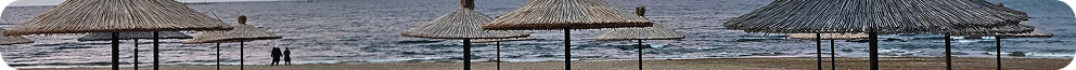haus_landing_desktop_reviews_small_decor_img.png