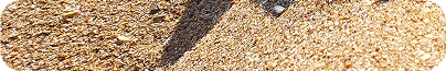 haus_subpage_about_beach_subtitle_decoration.png